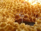 Mehiläisvahalla on lukuisia käyttökohteita.